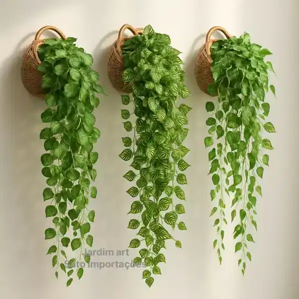 Foto do produto em oferta